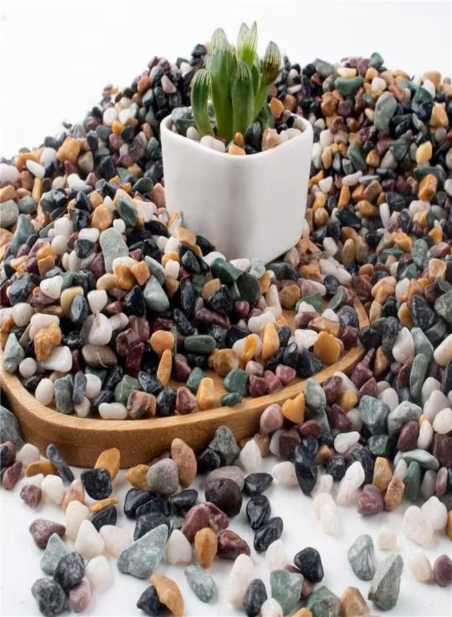 AVALUTION Aquarium Gravel for Plants -7lb Fish Tank Gravel for Succulent Cactus & Bonsai, 1/4Inch Decorative River Rocks Pebbles for Gardening, Flower Pots, Landscaping, Terrarium - Image 1